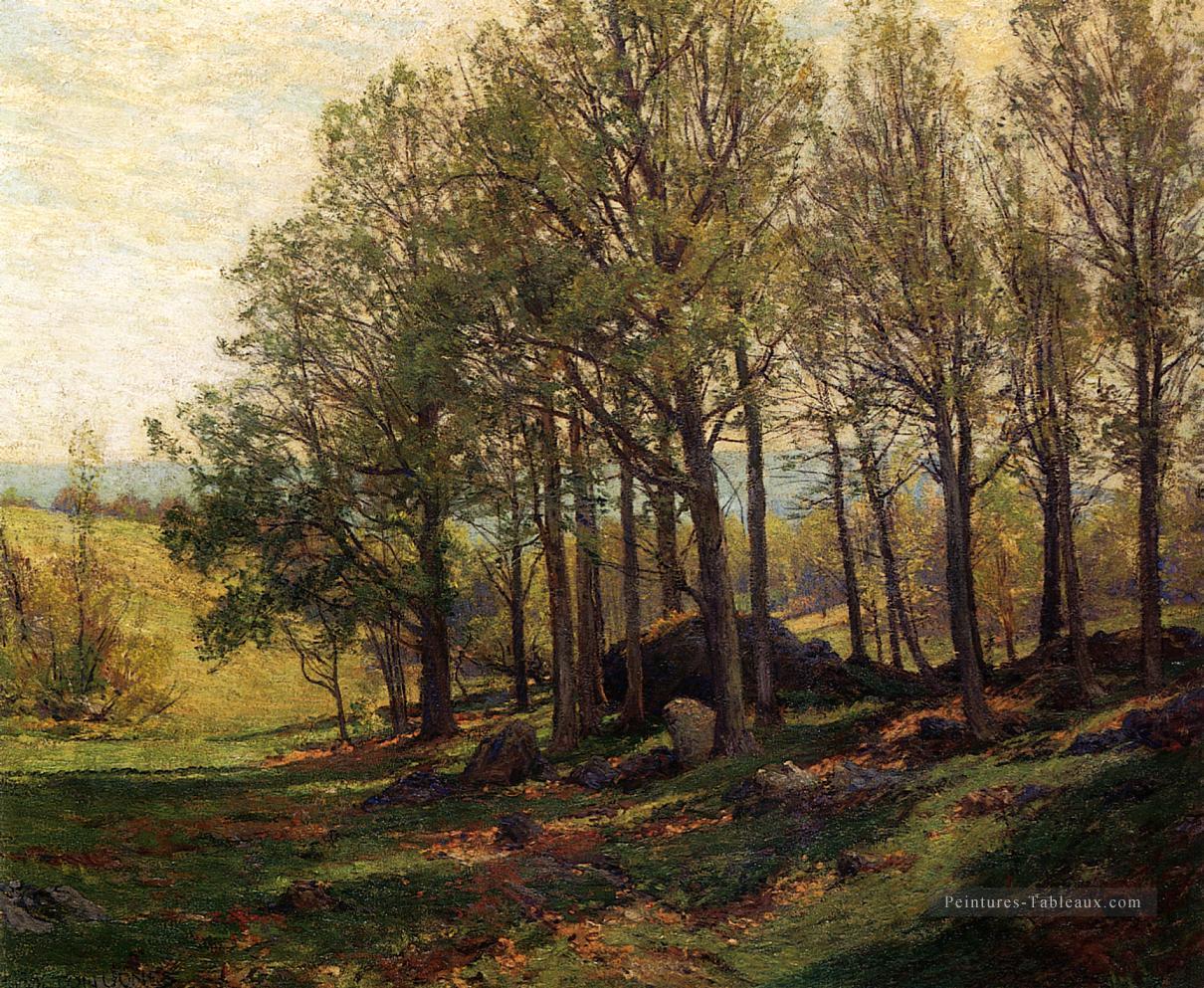 Érables au printemps paysage Hugh Bolton Jones Forêt Peintures à l'huile
